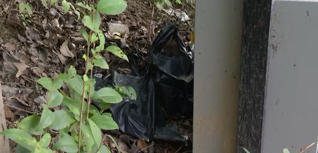 禹州颍河游园附近垃圾如山!引市民吐槽、官媒发声! 禹州颍河游园附近垃圾如山!引市民吐槽、官媒发声!