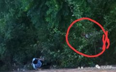 禹州市公安局方山派出所雨夜救起失足跌沟老人