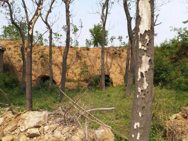 禹州无梁镇龙门村药王孙思邈墓冢地新考 禹州无梁镇龙门村药王孙思邈墓冢地新考