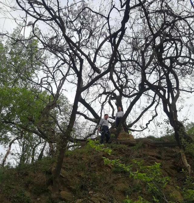 禹州无梁镇龙门村药王孙思邈墓冢地新考 禹州无梁镇龙门村药王孙思邈墓冢地新考