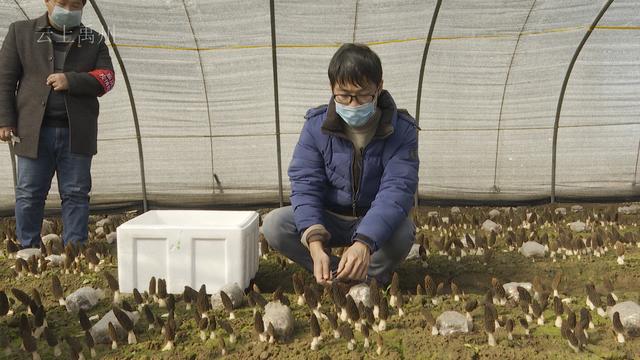 禹州一场特殊的开业典礼 禹州一场特殊的开业典礼