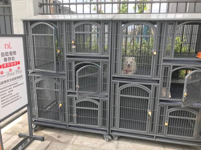 胖东来禹州店开业10天,这24个细节你注意到了没? 胖东来禹州店开业10天,这24个细节你注意到了没?