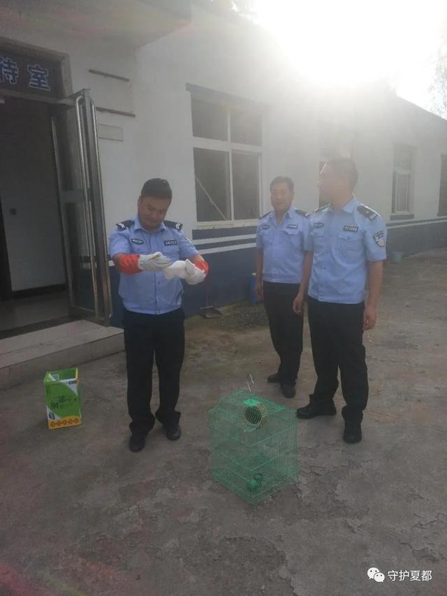 禹州方山派出所长救白鹭! 禹州方山派出所长救白鹭!