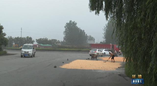 禹州部分公路变身“晒粮场”!农民晒粮该何去何从? 禹州部分公路变身“晒粮场”!农民晒粮该何去何从?