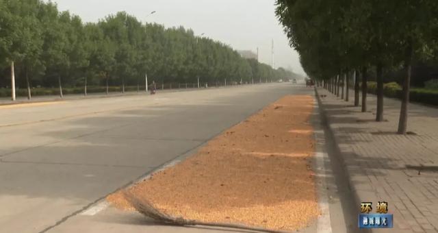 禹州部分公路变身“晒粮场”!农民晒粮该何去何从? 禹州部分公路变身“晒粮场”!农民晒粮该何去何从?