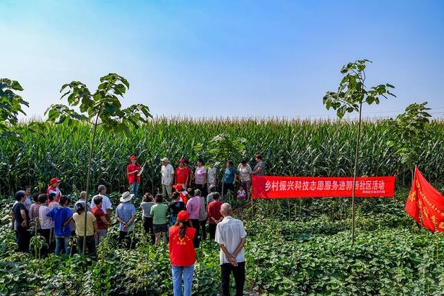 禹州:传播城市温度,打造文明之城 禹州:传播城市温度,打造文明之城