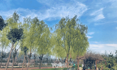 哪个最能代表禹州?这15座地标建筑,霸气! 哪个最能代表禹州?这15座地标建筑,霸气!