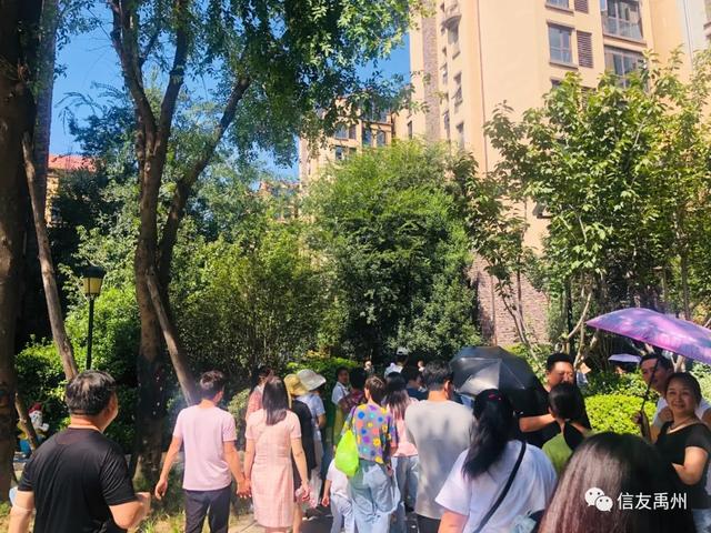 禹州天润府第二届业主品质之旅完美落幕 禹州天润府第二届业主品质之旅完美落幕