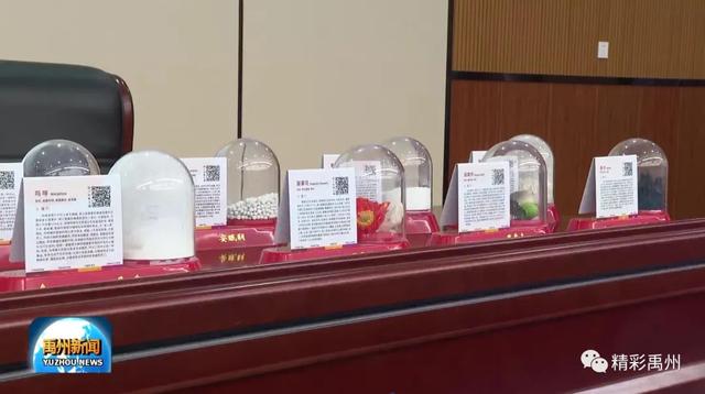 开学第一课,青春不“毒”行!禹州市开展主题禁毒宣传教育活动 开学第一课,青春不“毒”行!禹州市开展主题禁毒宣传教育活动