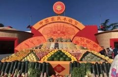 禹州一峰城市广场9月丰收节 发放了上万份大米/提纸/洗衣液