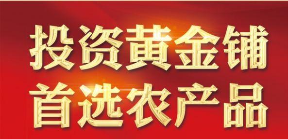 9月12日禹州农批盛大开盘!火爆势头定不负众望! 9月12日禹州农批盛大开盘!火爆势头定不负众望!