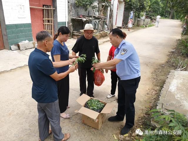 禹州市森林公安局脱贫攻坚,铿锵前行 禹州市森林公安局脱贫攻坚,铿锵前行