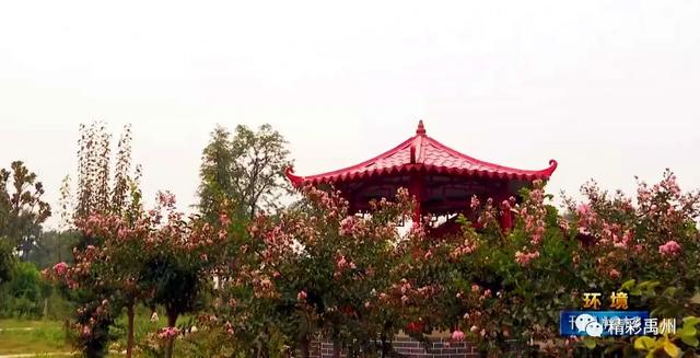 禹州盆亓村:来俺村的“村民说事长廊”里唠唠,尝尝“秋月梨”的味道 禹州盆亓村:来俺村的“村民说事长廊”里唠唠,尝尝“秋月梨”的味道