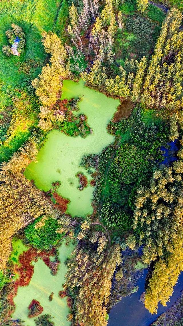 禹州褚河湿地公园——耿亚伟摄影作品 禹州褚河湿地公园——耿亚伟摄影作品
