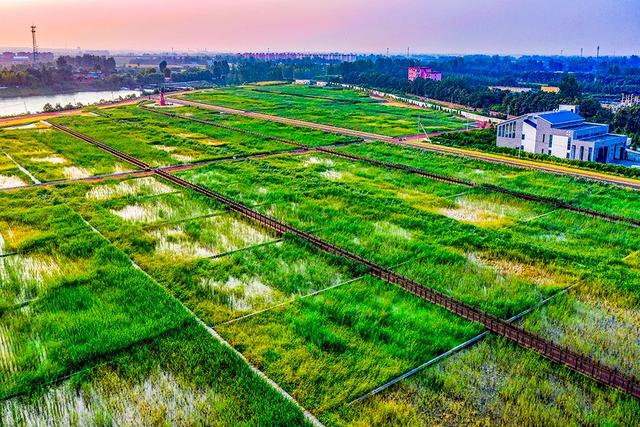 禹州褚河湿地公园——耿亚伟摄影作品 禹州褚河湿地公园——耿亚伟摄影作品