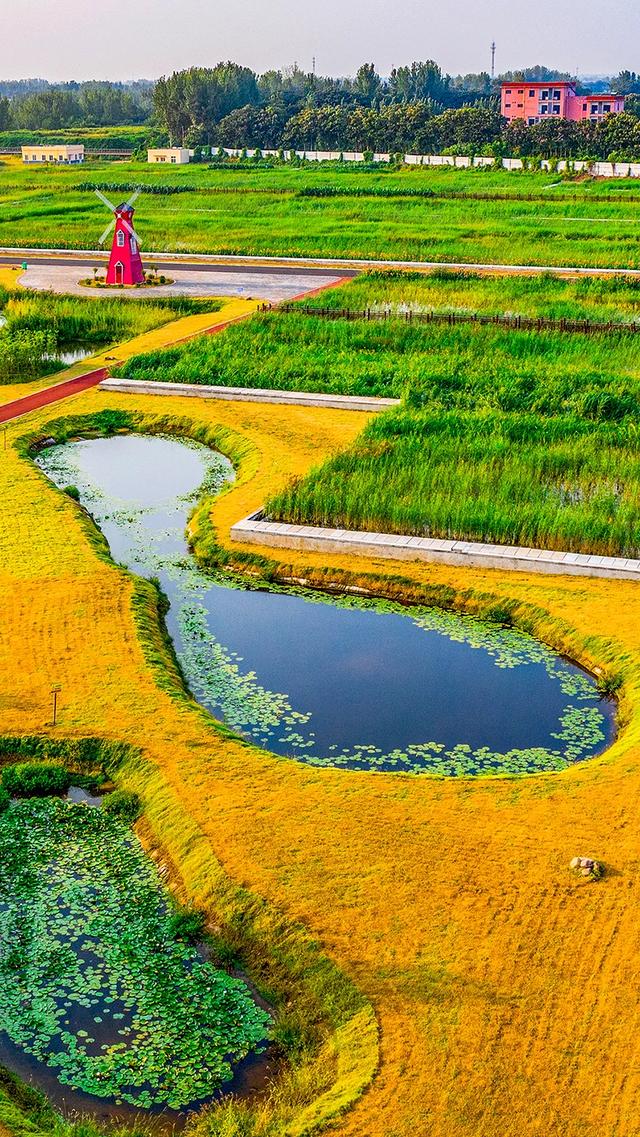 禹州褚河湿地公园——耿亚伟摄影作品 禹州褚河湿地公园——耿亚伟摄影作品