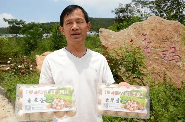禹州青山岭村这里有“金鸡”,每年给村集体增加收入11万元! 禹州青山岭村这里有“金鸡”,每年给村集体增加收入11万元!