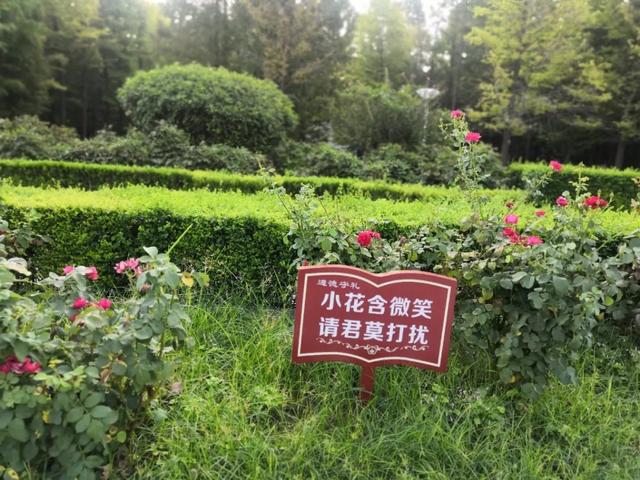 禹州夜雨礼赞 禹州夜雨礼赞