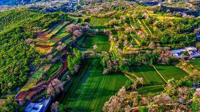 禹州苌庄四季风景摄影大赛“夏之韵”获奖作品展示 禹州苌庄四季风景摄影大赛“夏之韵”获奖作品展示