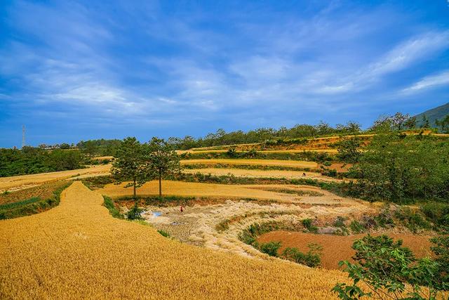 禹州苌庄四季风景摄影大赛“夏之韵”获奖作品展示 禹州苌庄四季风景摄影大赛“夏之韵”获奖作品展示