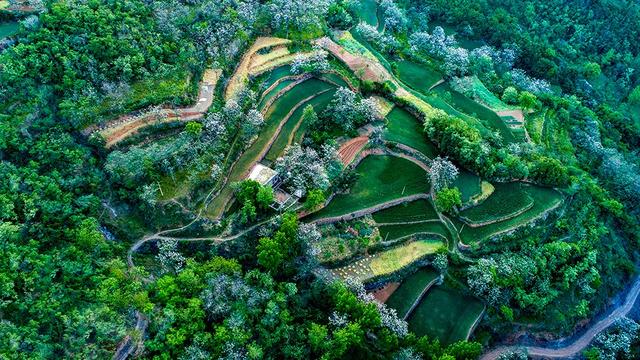 禹州苌庄四季风景摄影大赛“夏之韵”获奖作品展示 禹州苌庄四季风景摄影大赛“夏之韵”获奖作品展示
