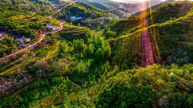 禹州苌庄四季风景摄影大赛“夏之韵”获奖作品展示 禹州苌庄四季风景摄影大赛“夏之韵”获奖作品展示