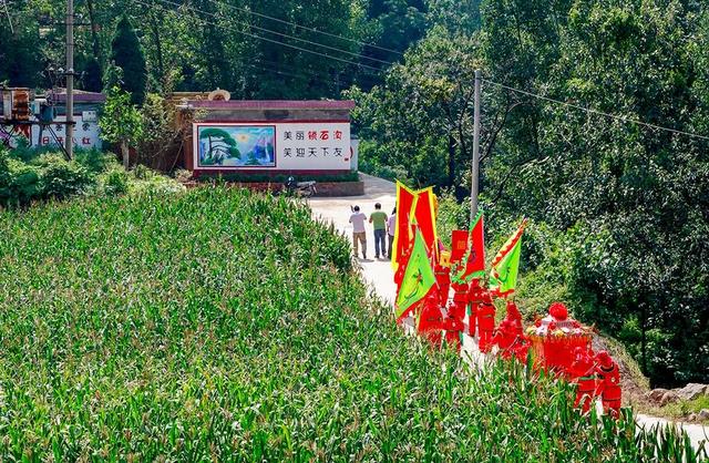 禹州苌庄四季风景摄影大赛“夏之韵”获奖作品展示 禹州苌庄四季风景摄影大赛“夏之韵”获奖作品展示