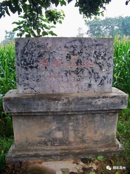 一千多年前,后汉开国皇帝在禹州这里栽下了几棵柏树 一千多年前,后汉开国皇帝在禹州这里栽下了几棵柏树