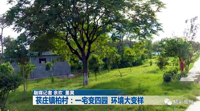 一千多年前,后汉开国皇帝在禹州这里栽下了几棵柏树 一千多年前,后汉开国皇帝在禹州这里栽下了几棵柏树