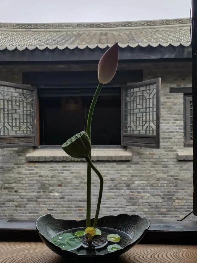 禹州建业大城小院邀您品茗插花 禹州建业大城小院邀您品茗插花