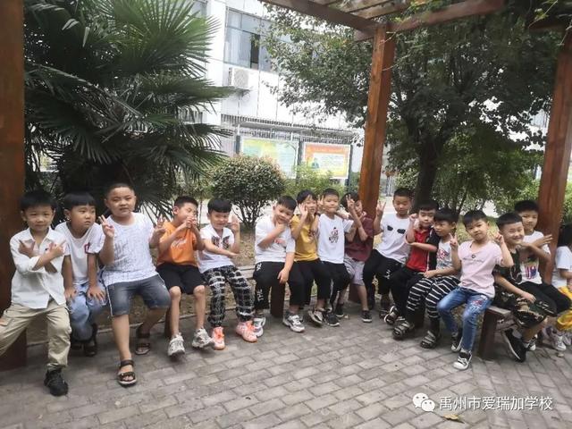 禹州市爱瑞加学校成长季‖愿恰似朝阳 禹州市爱瑞加学校成长季‖愿恰似朝阳