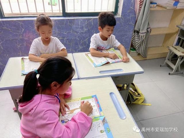 禹州市爱瑞加学校成长季‖阳光下的童真 禹州市爱瑞加学校成长季‖阳光下的童真