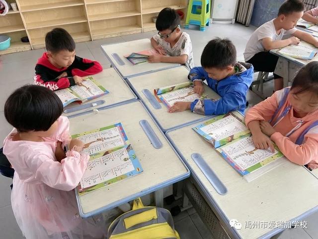 禹州市爱瑞加学校成长季‖阳光下的童真 禹州市爱瑞加学校成长季‖阳光下的童真