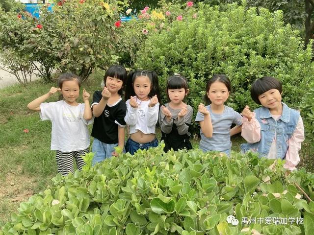 禹州市爱瑞加学校成长季‖阳光下的童真 禹州市爱瑞加学校成长季‖阳光下的童真
