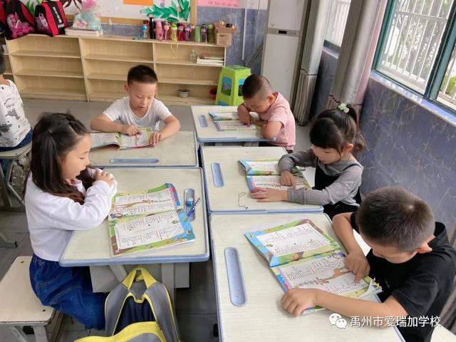 禹州市爱瑞加学校成长季‖阳光下的童真 禹州市爱瑞加学校成长季‖阳光下的童真