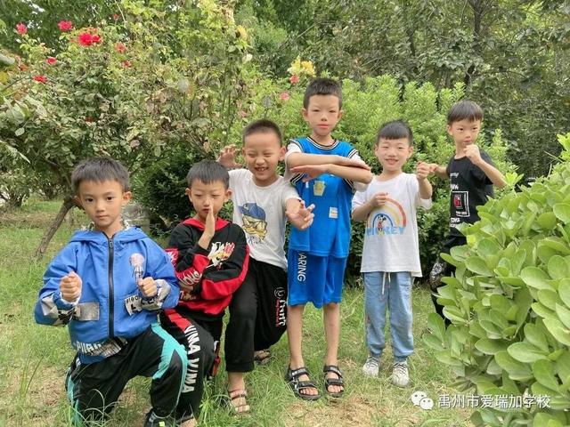禹州市爱瑞加学校成长季‖阳光下的童真 禹州市爱瑞加学校成长季‖阳光下的童真