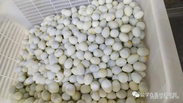 禹州北大公学初中部一直在路上 禹州北大公学初中部一直在路上