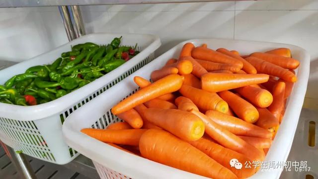 禹州北大公学初中部一直在路上 禹州北大公学初中部一直在路上