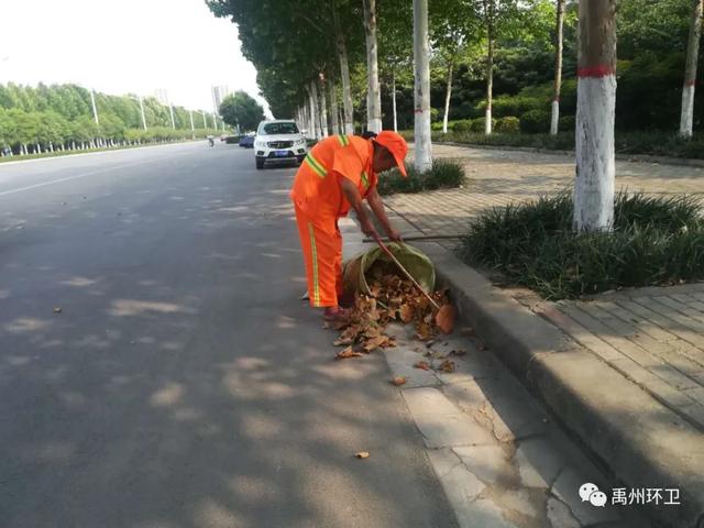 禹州环卫:凝心聚力保洁净 狠抓细节促提升 禹州环卫:凝心聚力保洁净 狠抓细节促提升
