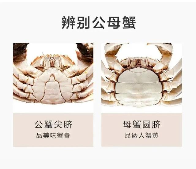 禹州市胖东来9月21日阳澄湖大闸蟹开湖啦! 禹州市胖东来9月21日阳澄湖大闸蟹开湖啦!