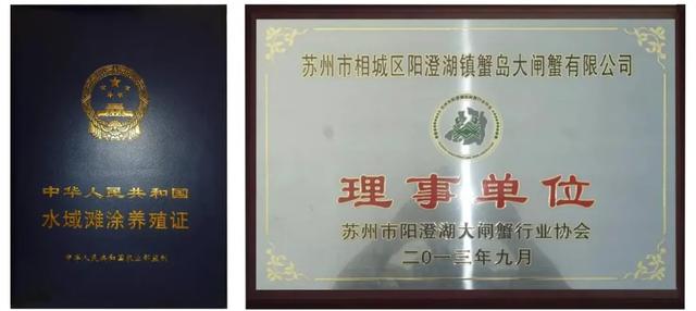 禹州市胖东来9月21日阳澄湖大闸蟹开湖啦! 禹州市胖东来9月21日阳澄湖大闸蟹开湖啦!