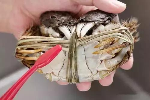 禹州市胖东来9月21日阳澄湖大闸蟹开湖啦! 禹州市胖东来9月21日阳澄湖大闸蟹开湖啦!
