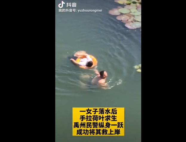 厉害!禹州一女子落水后淡定漂浮,拉住荷叶成功自救 厉害!禹州一女子落水后淡定漂浮,拉住荷叶成功自救