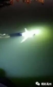 厉害!禹州一女子落水后淡定漂浮,拉住荷叶成功自救 厉害!禹州一女子落水后淡定漂浮,拉住荷叶成功自救