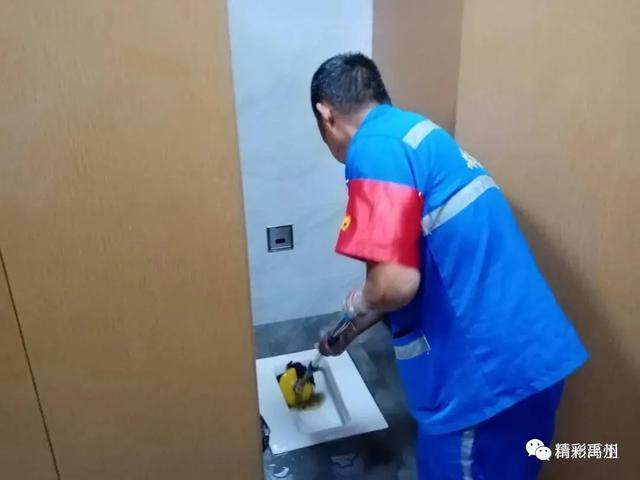 禹州文明的“种子”已落地生根,请尊重他们的劳动成果! 禹州文明的“种子”已落地生根,请尊重他们的劳动成果!