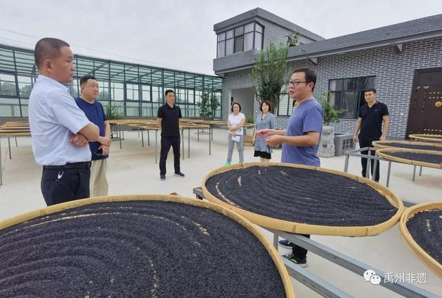 禹州市九个展示传习示范馆得到河南省文旅厅考核组高度评价! 禹州市九个展示传习示范馆得到河南省文旅厅考核组高度评价!