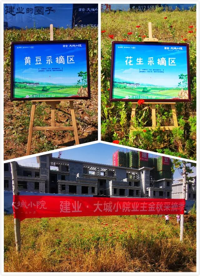 禹州建业大城小院采摘品茗插花活动温情落幕 禹州建业大城小院采摘品茗插花活动温情落幕
