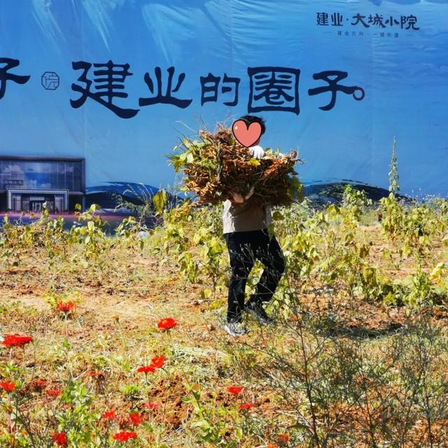 禹州建业大城小院采摘品茗插花活动温情落幕 禹州建业大城小院采摘品茗插花活动温情落幕