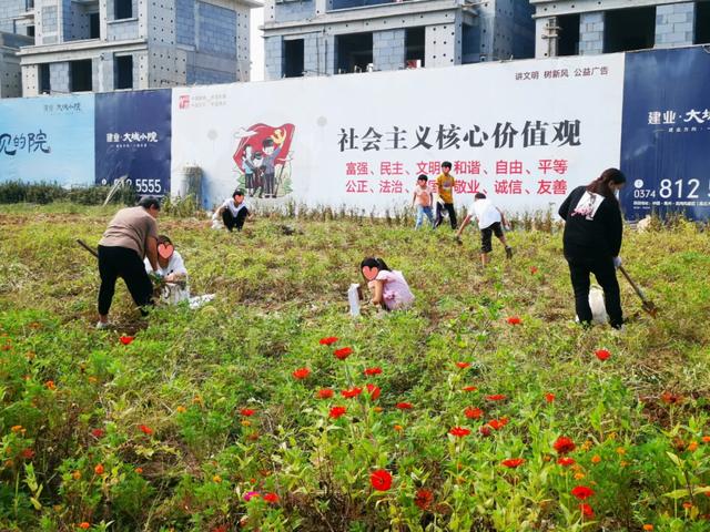禹州建业大城小院采摘品茗插花活动温情落幕 禹州建业大城小院采摘品茗插花活动温情落幕