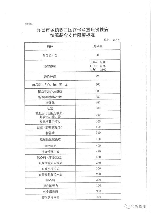 禹州市城镇职工医保第三季度重症慢性病鉴定开始申报啦! 禹州市城镇职工医保第三季度重症慢性病鉴定开始申报啦!